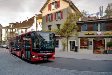 Zimmerbergbus 3