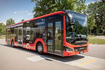 Zimmerbergbus 1