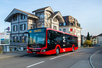 Zimmerbergbus 2