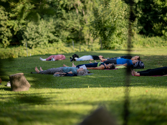 Yoga Entspannung Shavasana Felsenegg