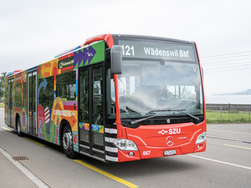 Zimmerbergbus