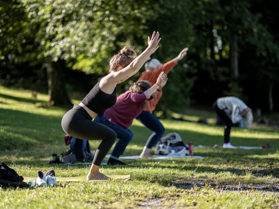 Yoga Übung Felsenegg