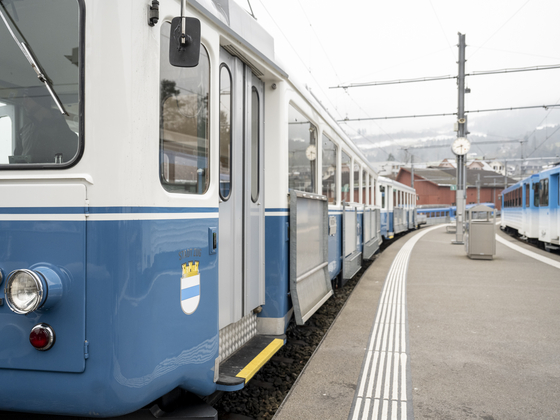 Zug Nr. 12 Arth Rigi Bahn