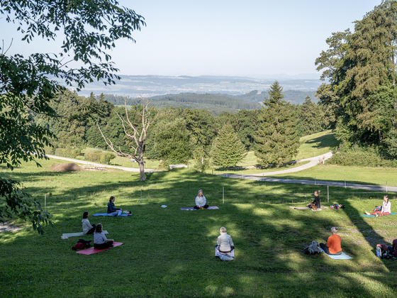 Bild Wald Yoga auf der Felsenegg Sonne Schatten
