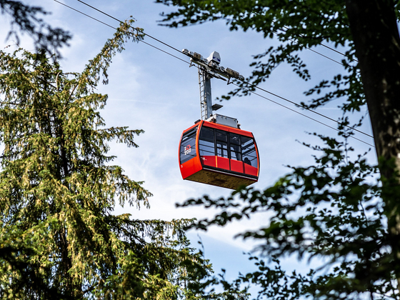 Header Felseneggbahn