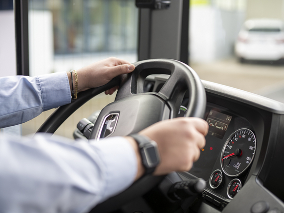 Buschauffeur N29 Busbetriebe Bamert Luca Verzino am Steuer