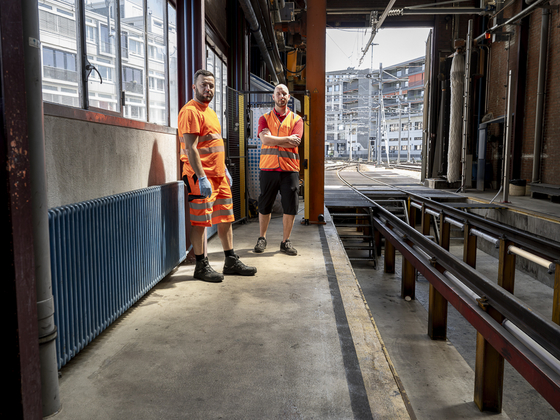 Reinigung Zugreinigung Waschstrasse