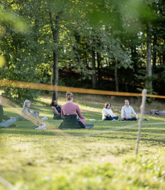 yoga auf der Felsenegg schmetterling