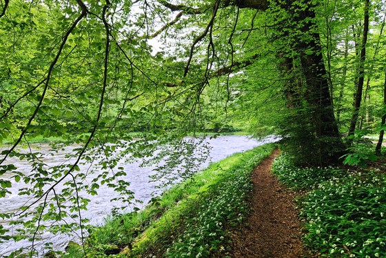 Sihl ErlebnisWeg