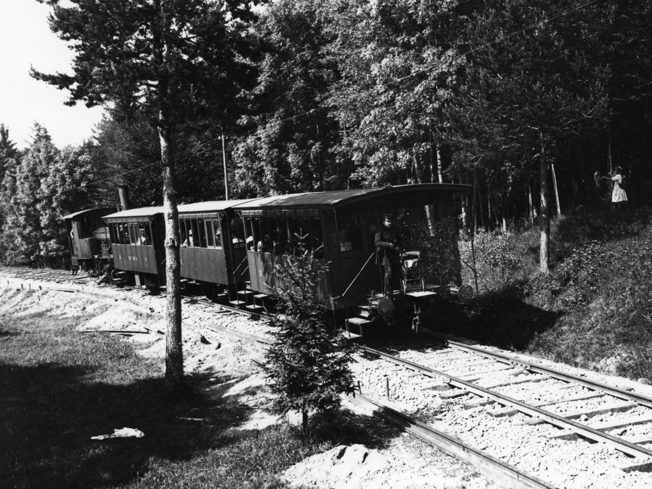 Dampflokomotive 
