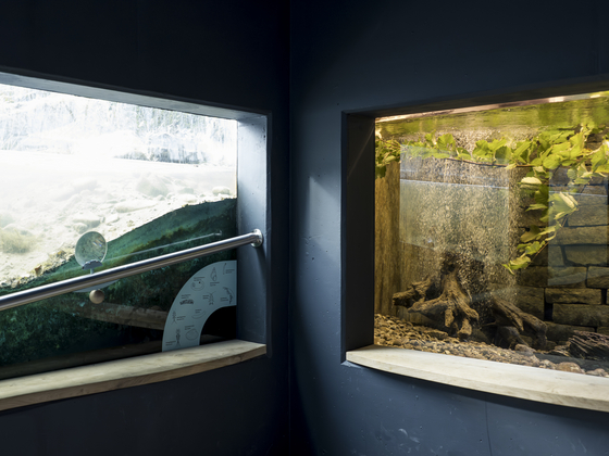 Fischotter Aquarium im Wilndnispark